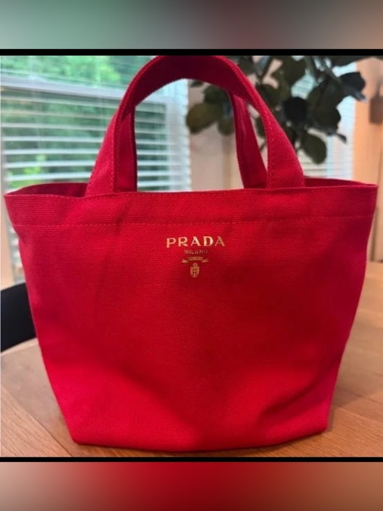 Prada Handbags - Prada L’Homme Mini Canvas  - Novelty!